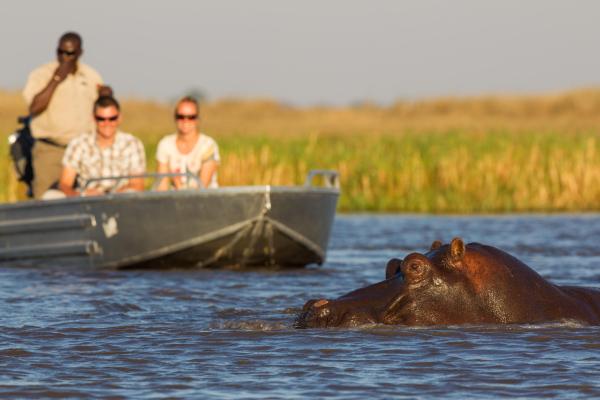 Wilderness Busanga Bush Camp