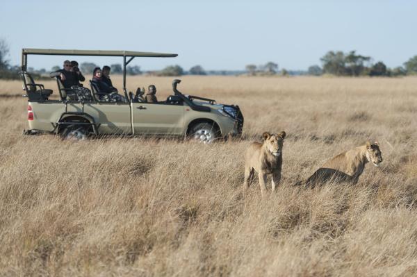 Wilderness Busanga Bush Camp