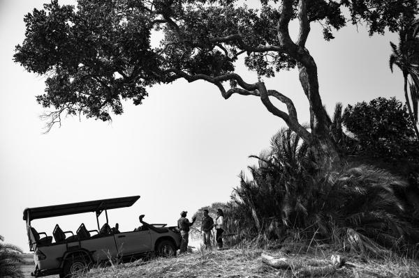 Wilderness Busanga Bush Camp