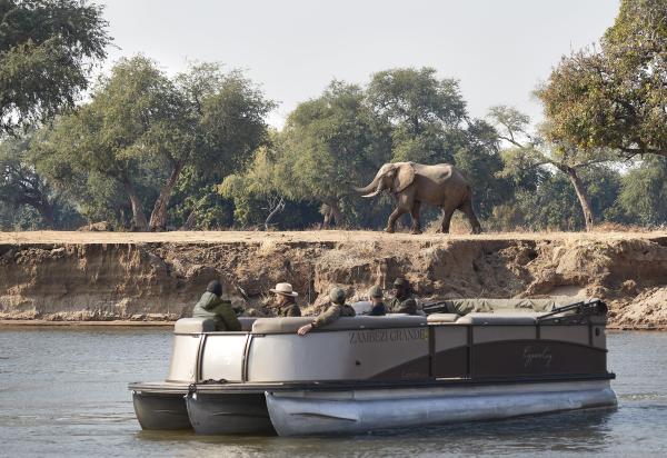 Zambezi Grande