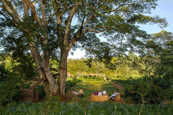 GIBB'S FARM LODGE NGORONGORO