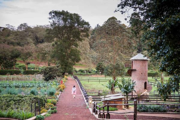 GIBB'S FARM LODGE NGORONGORO