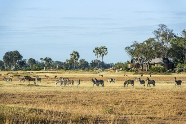 Xigera Safari Lodge 