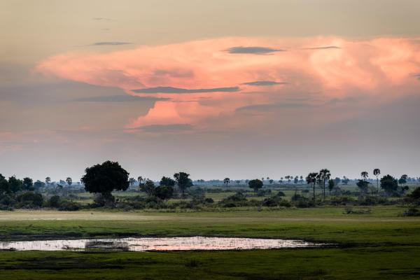 Xigera Safari Lodge 