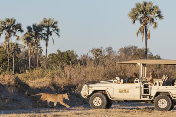 Xigera Safari Lodge 