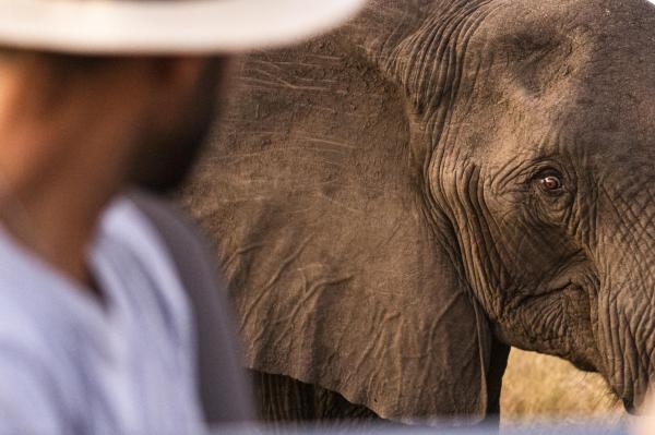 Singita Lebombo