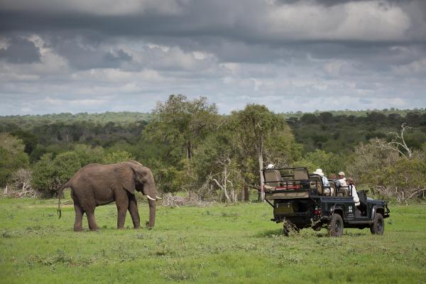 Londolozi Private Granite Suites