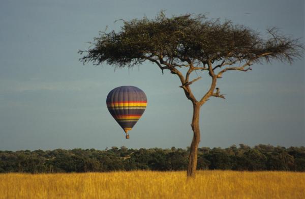 Roving Bushtops