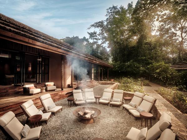 Gorilla Forest Lodge 