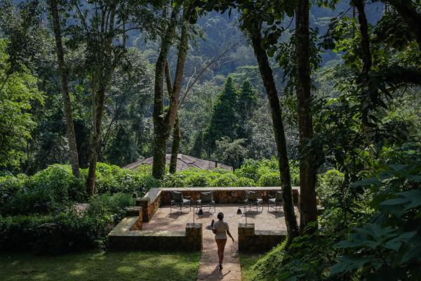Bwindi Lodge