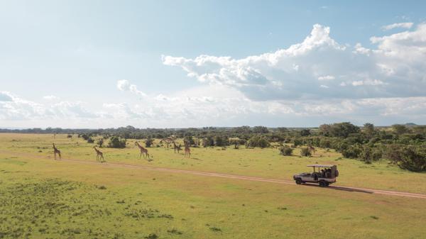 JW Marriott Masai Mara Lodge