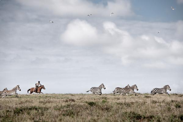 Borana Lodge