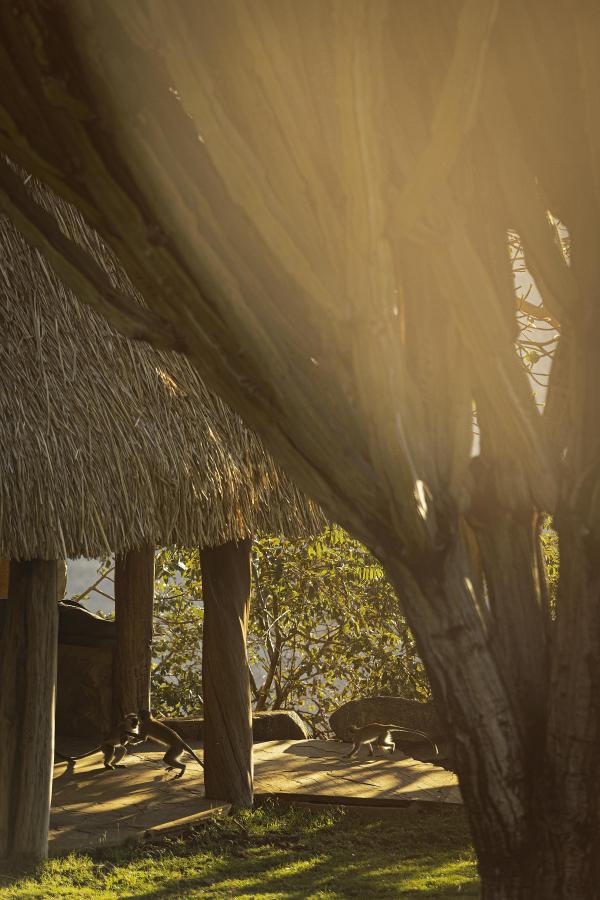 Borana Lodge