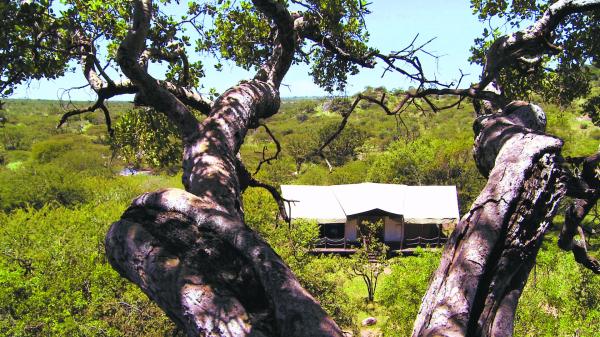 Elewana Migration Camp