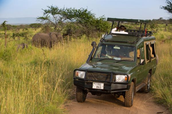 Elewana Migration Camp