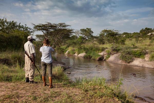 Elewana Migration Camp