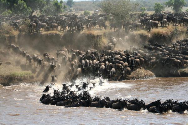 Lamai Serengeti