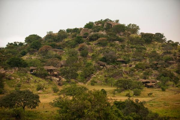 Lamai Serengeti