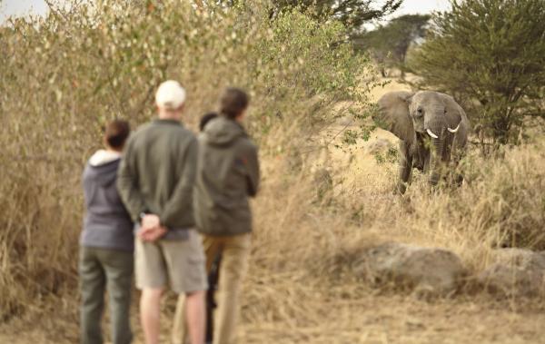 SAYARI TENTED CAMP