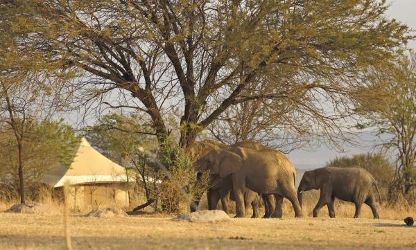 SAYARI TENTED CAMP