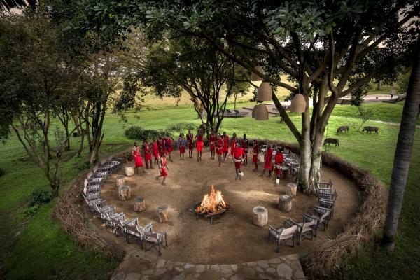 Kichwa Tembo Maasai Mara