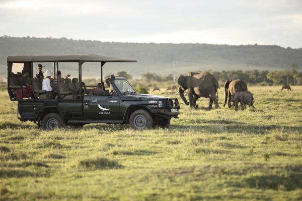 Kichwa Tembo Maasai Mara