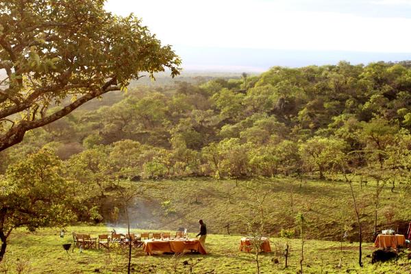 Campi ya Kanzi Campi ya Kanzi