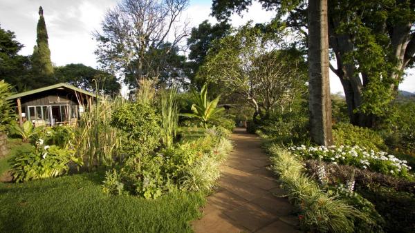 GIBB'S FARM LODGE NGORONGORO