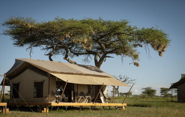 Siringit Serengeti Camp by Mantis