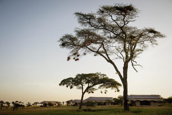 Siringit Serengeti Camp by Mantis