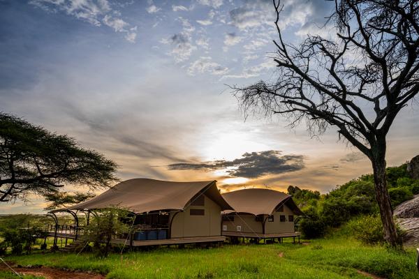 Lemala Nanyuki