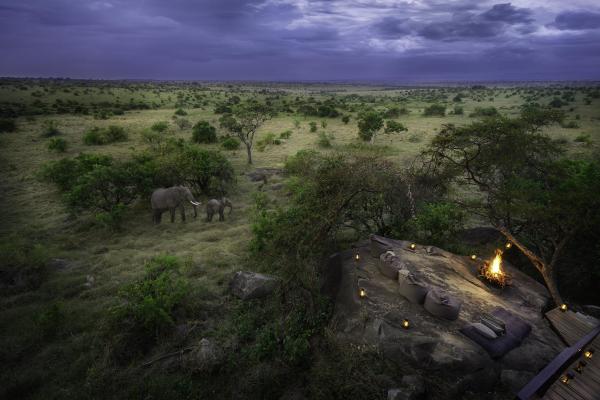 Nimali Mara Serengeti