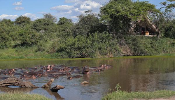 andbeyond grumeti serengeti tented camp