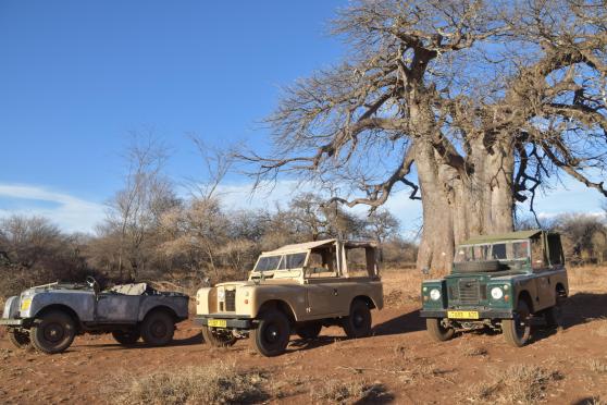 Siringit Villa game drive old way