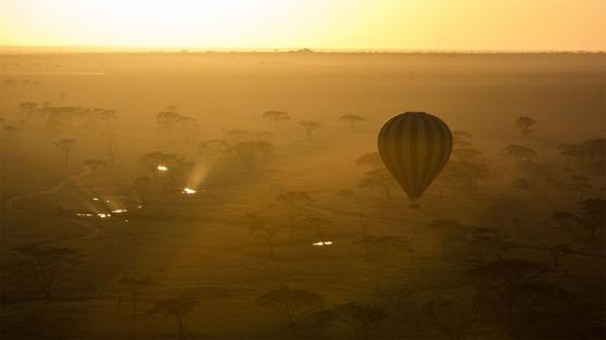 Serengeti Bushtops