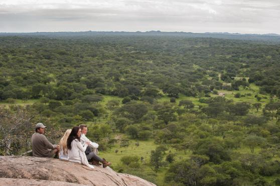 Mwiba Lodge