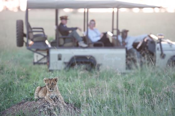 SINGITA FARU FARU LODGE