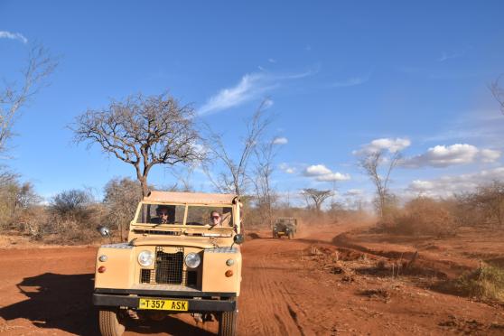 Siringit Villa game drive old way