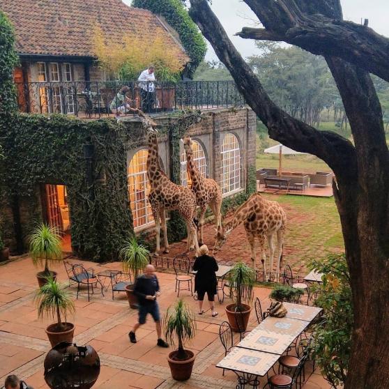 Giraffe Manor Nairobi