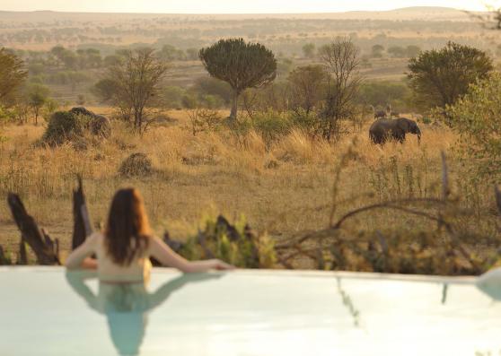 Sayari Tented Camp