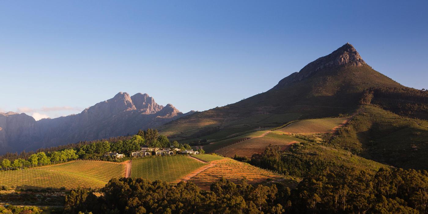 Cape Winelands