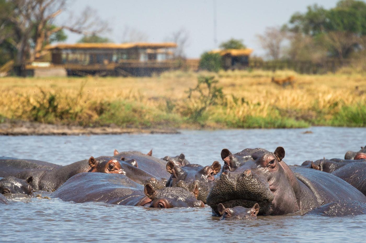 Kafue National Park 