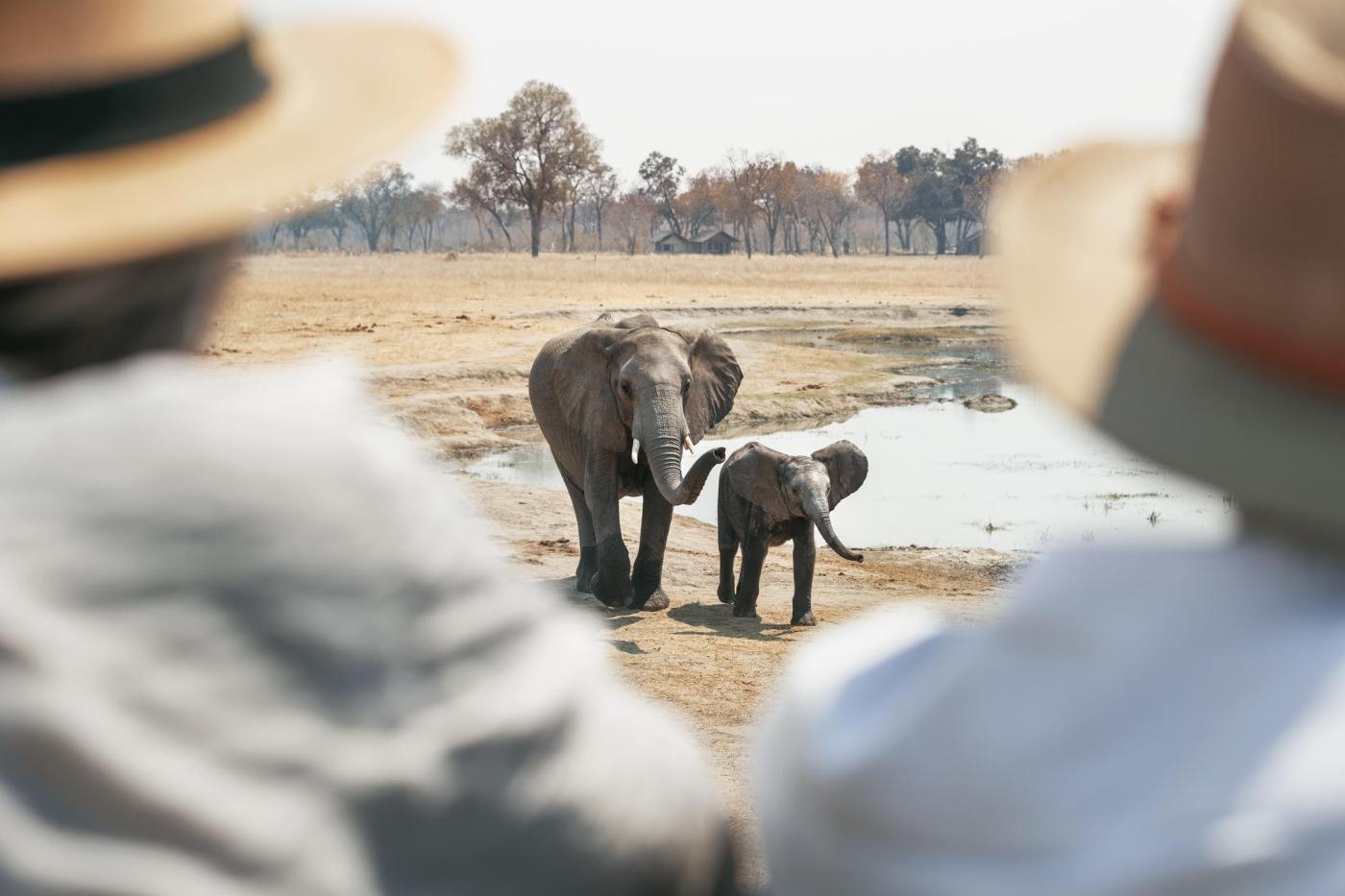 Hwange National Park 