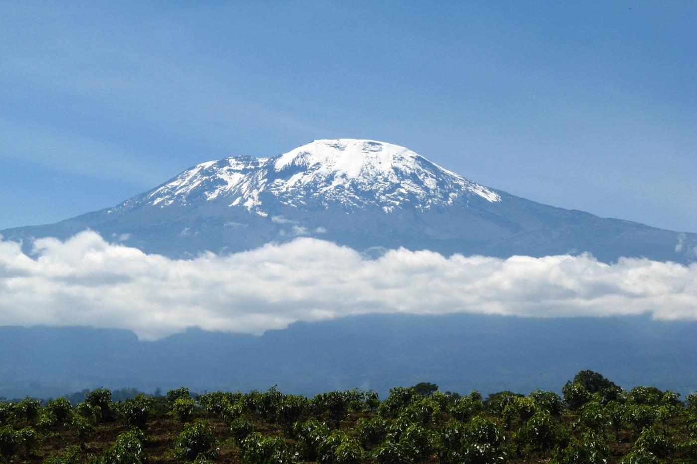 Moshi, Kilimanjaro 
