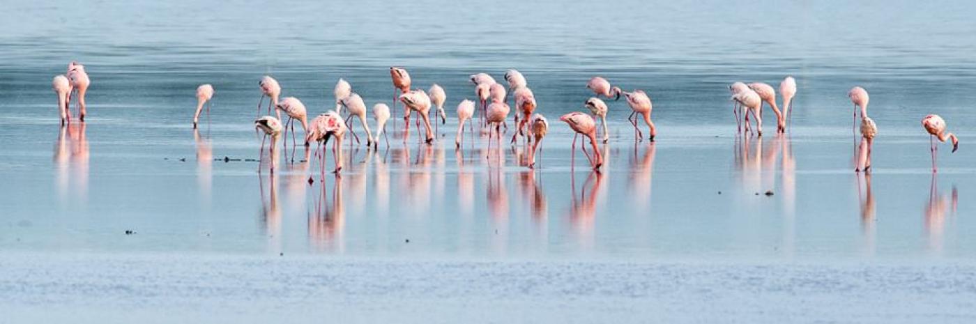 Lake Manyara National Park