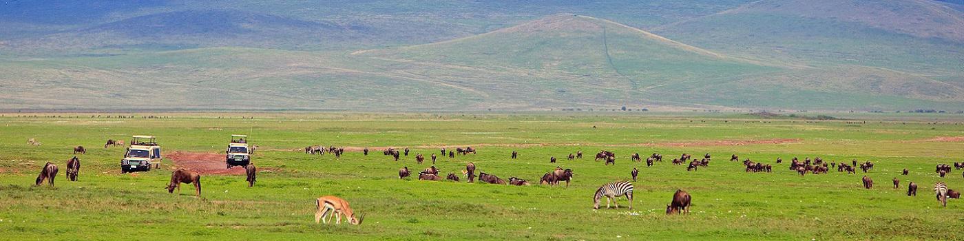 Saadani National Park