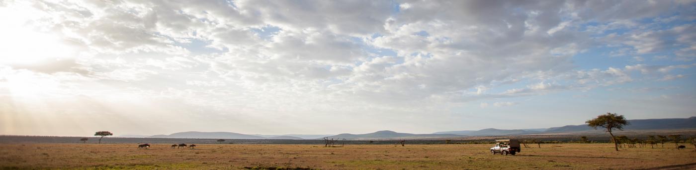 Masai Mara