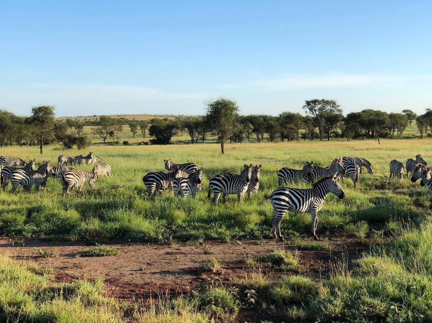 Serengeti National Park