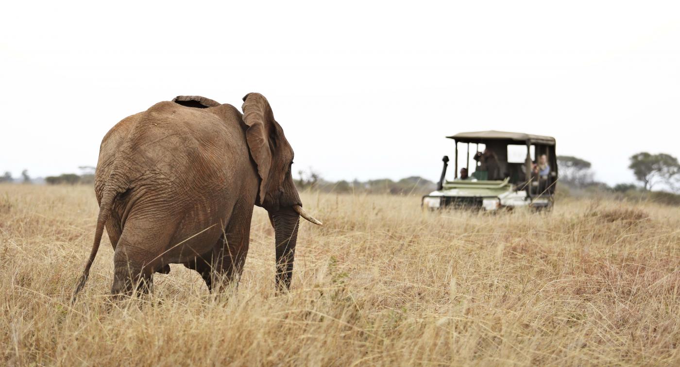 Tarangire National Park