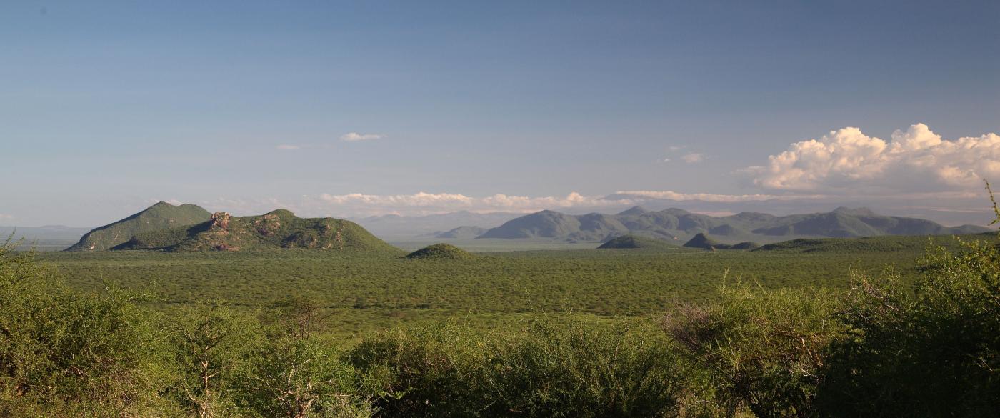 Samburu 